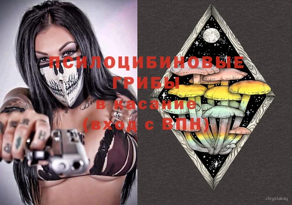 спайс Семёнов