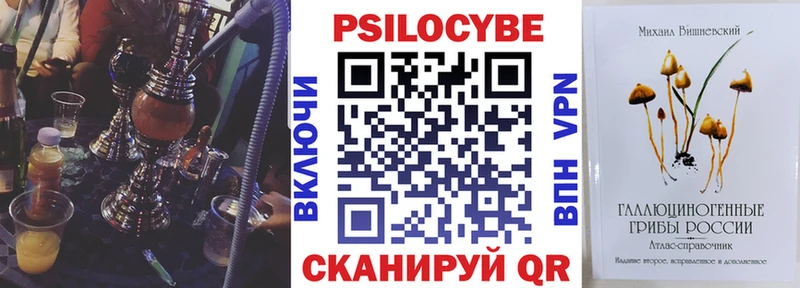 Купить где  Торопец  Псилоцибиновые грибы мицелий