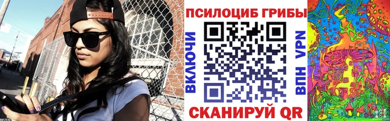 Псилоцибиновые грибы Cubensis Торопец